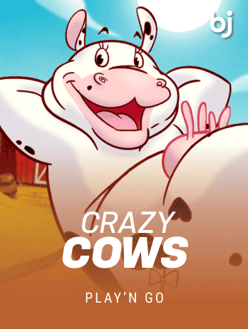 Crazy Cows thumbnail
